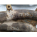 17X303 Exhaust Manifold Pair Set For 04-10 Ford F-150  5.4 3L3E9430DA